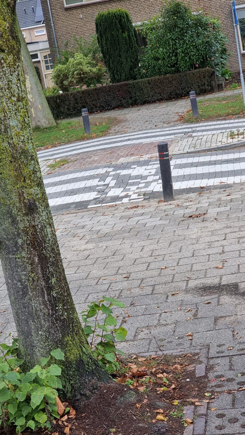 Gewoon een verzameling hilarische foto's #1493