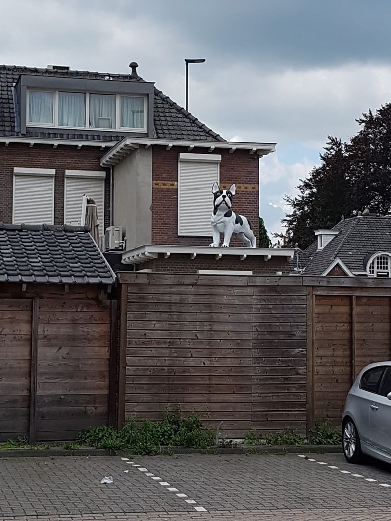 Gewoon een verzameling hilarische foto's #1495