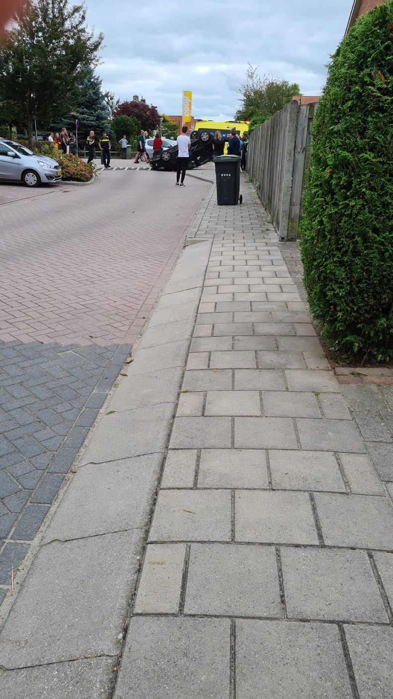 Gewoon een verzameling hilarische foto's #1493