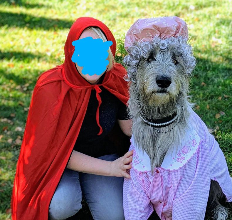 Gewoon een verzameling hilarische foto's #1508