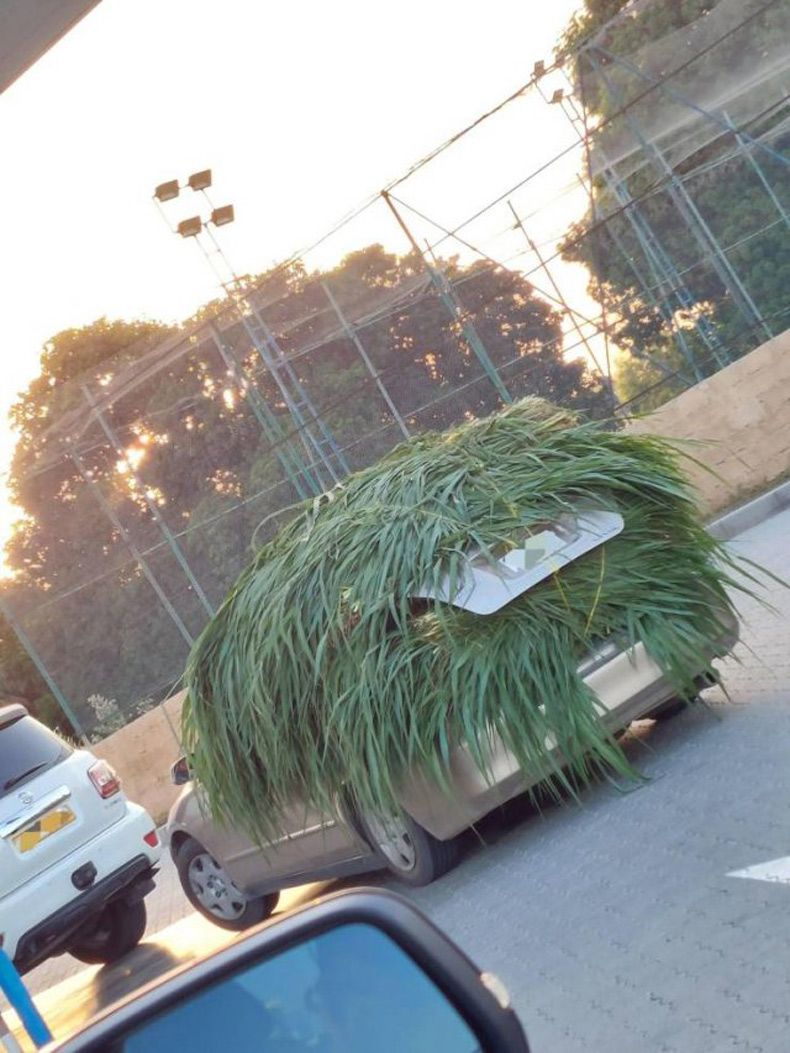 Gewoon een verzameling hilarische foto's #1508