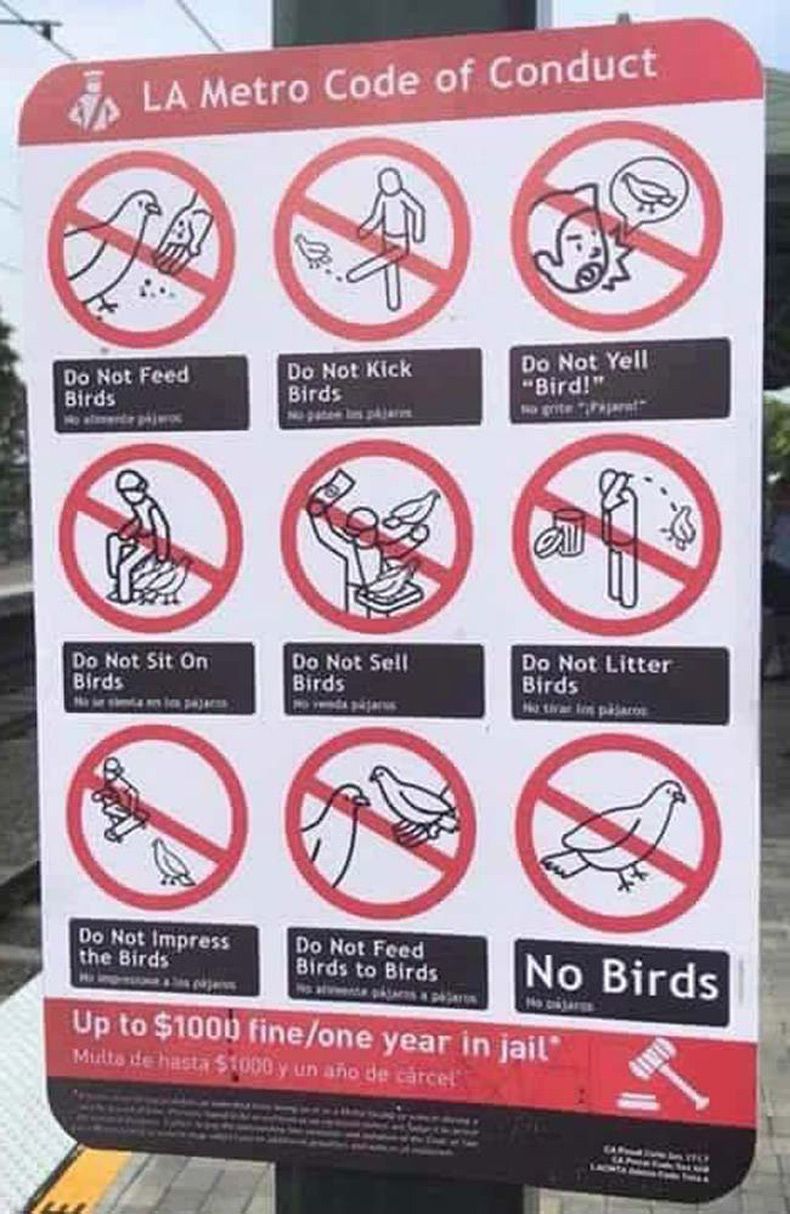 Gewoon een verzameling hilarische foto's #1508