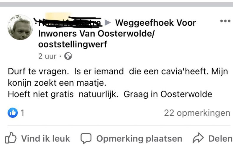 Gewoon een verzameling hilarische foto's #1508