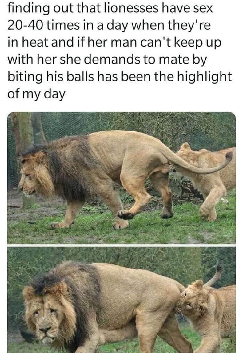 Gewoon een verzameling hilarische foto's #1508