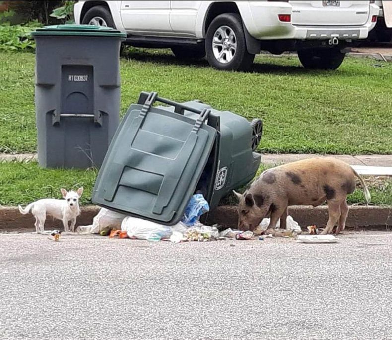 Gewoon een verzameling hilarische foto's #1508