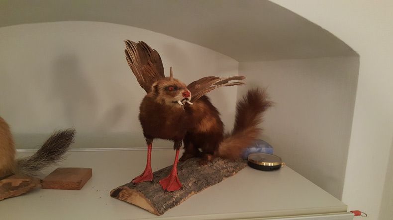 Gewoon een verzameling hilarische foto's #1508