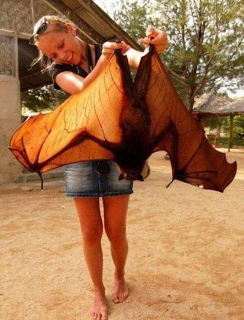 Gewoon een verzameling hilarische foto's #1509