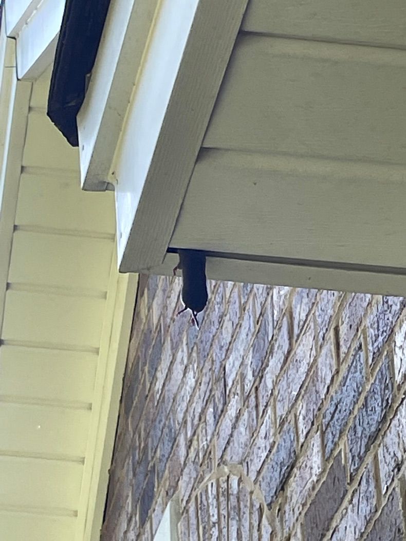 Gewoon een verzameling hilarische foto's #1510