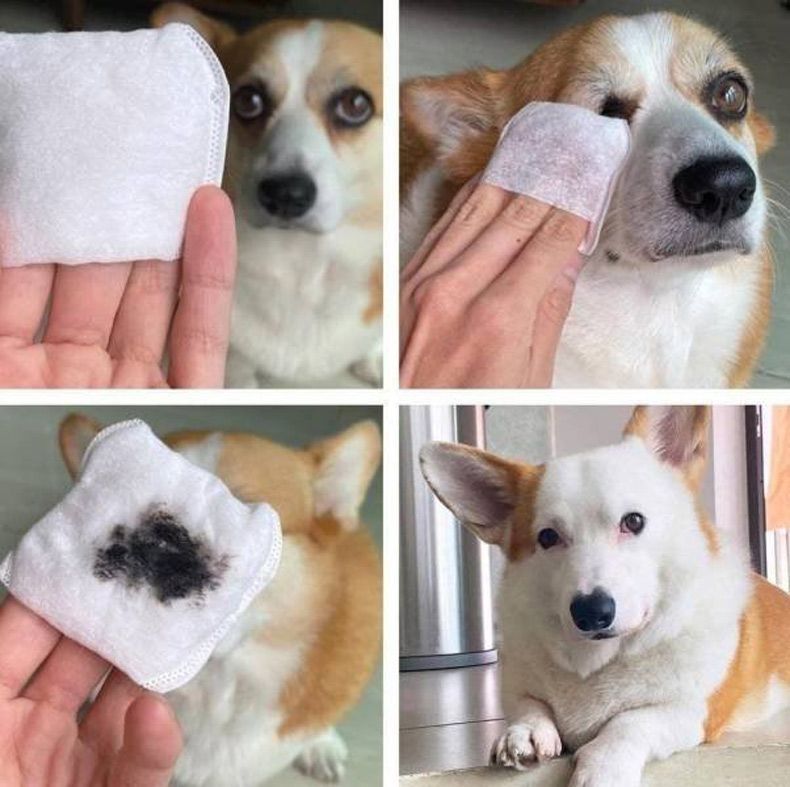 Gewoon een verzameling hilarische foto's #1510