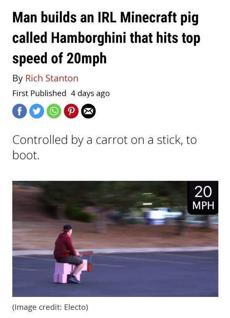 Gewoon een verzameling hilarische foto's #1510