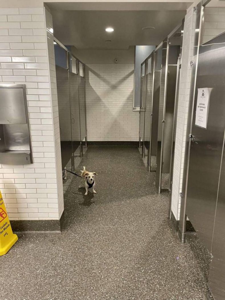 Gewoon een verzameling hilarische foto's #1510