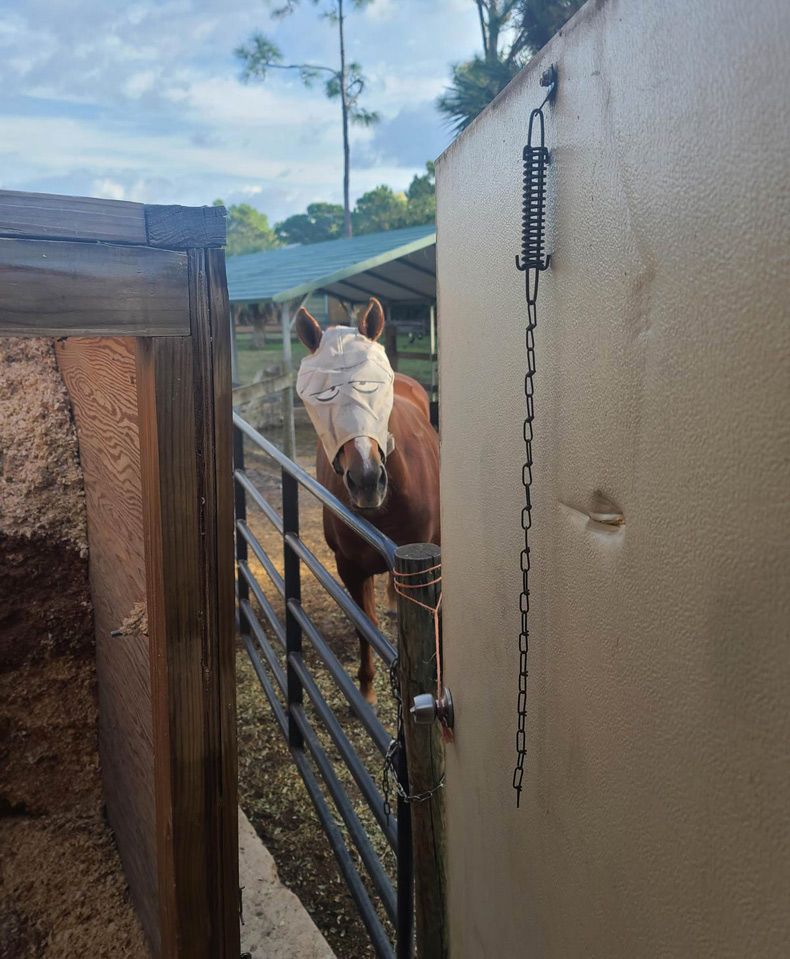Gewoon een verzameling hilarische foto's #1510