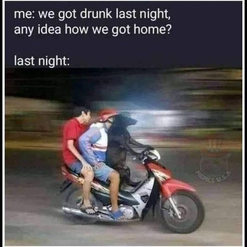 Gewoon een verzameling hilarische foto's #1510