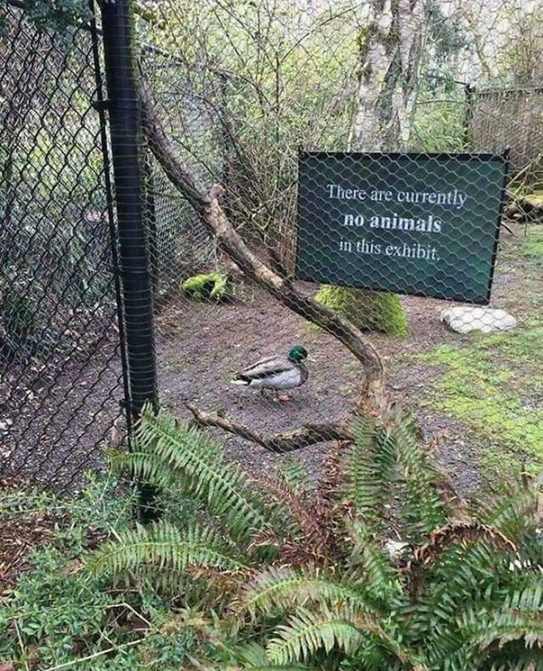 Gewoon een verzameling hilarische foto's #1510