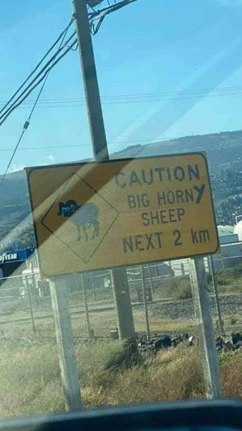 Gewoon een verzameling hilarische foto's #1510