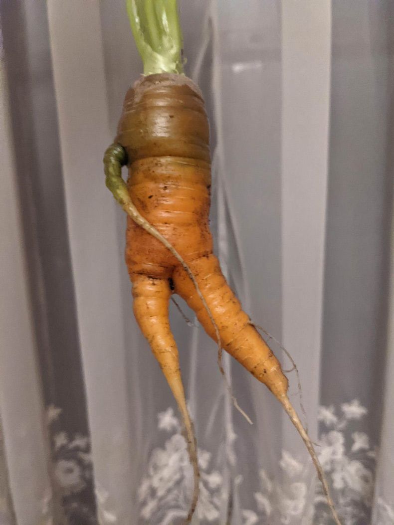 Gewoon een verzameling hilarische foto's #1510