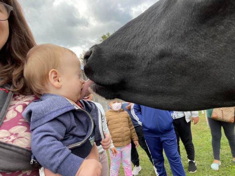 Gewoon een verzameling hilarische foto's #1511