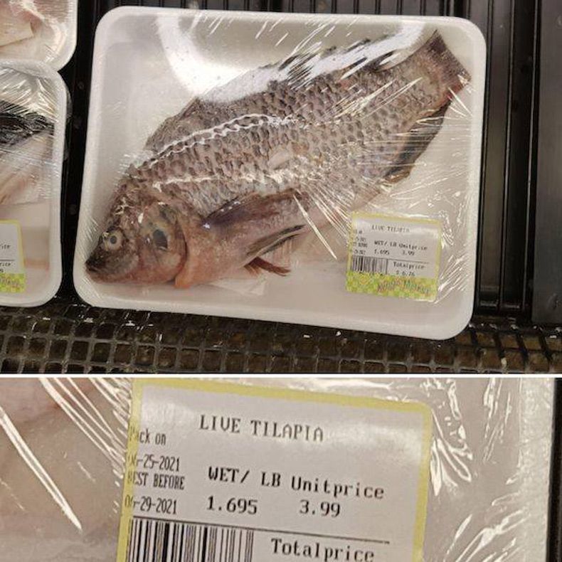 Gewoon een verzameling hilarische foto's #1511