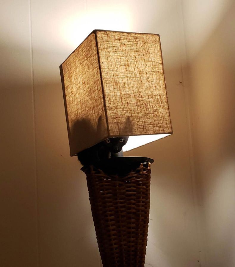 Gewoon een verzameling hilarische foto's #1511