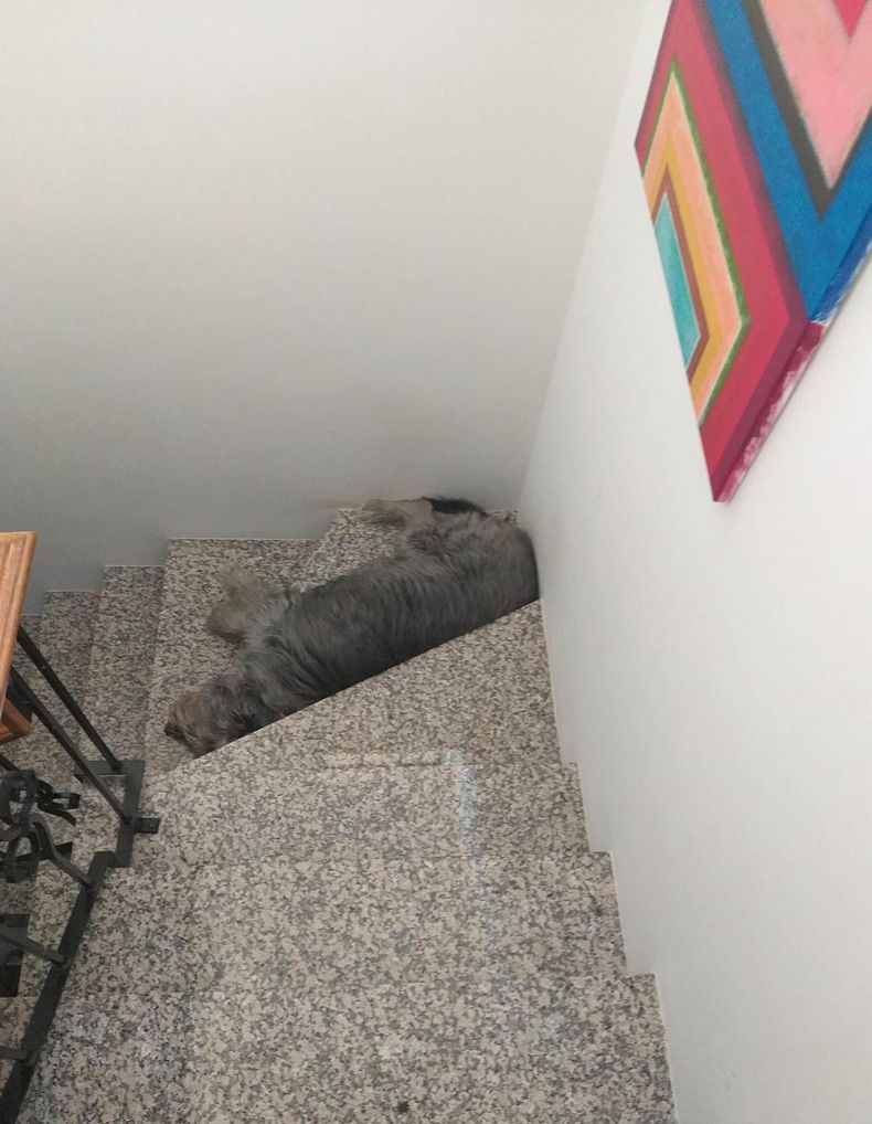 Gewoon een verzameling hilarische foto's #1511