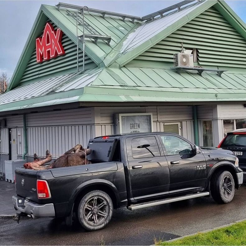 Gewoon een verzameling hilarische foto's #1511