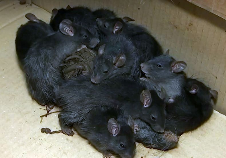 Gewoon een verzameling hilarische foto's #1511