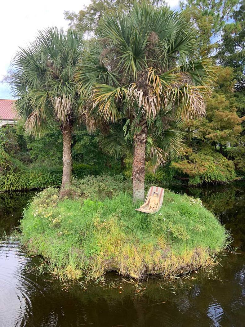 Gewoon een verzameling hilarische foto's #1511