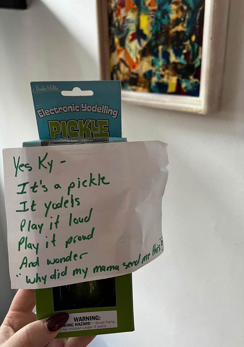 Gewoon een verzameling hilarische foto's #1511