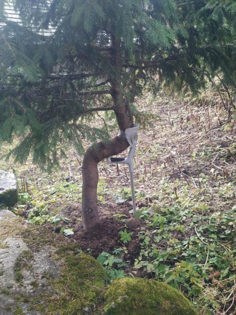 Gewoon een verzameling hilarische foto's #1512