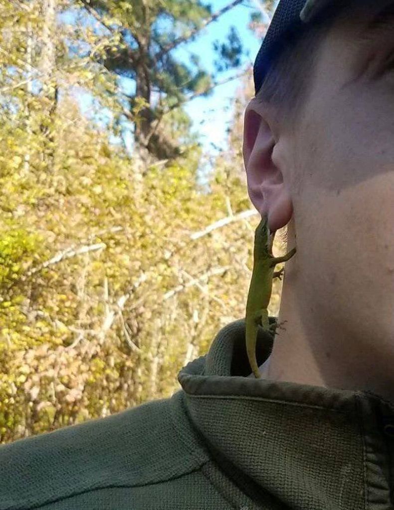 Gewoon een verzameling hilarische foto's #1512