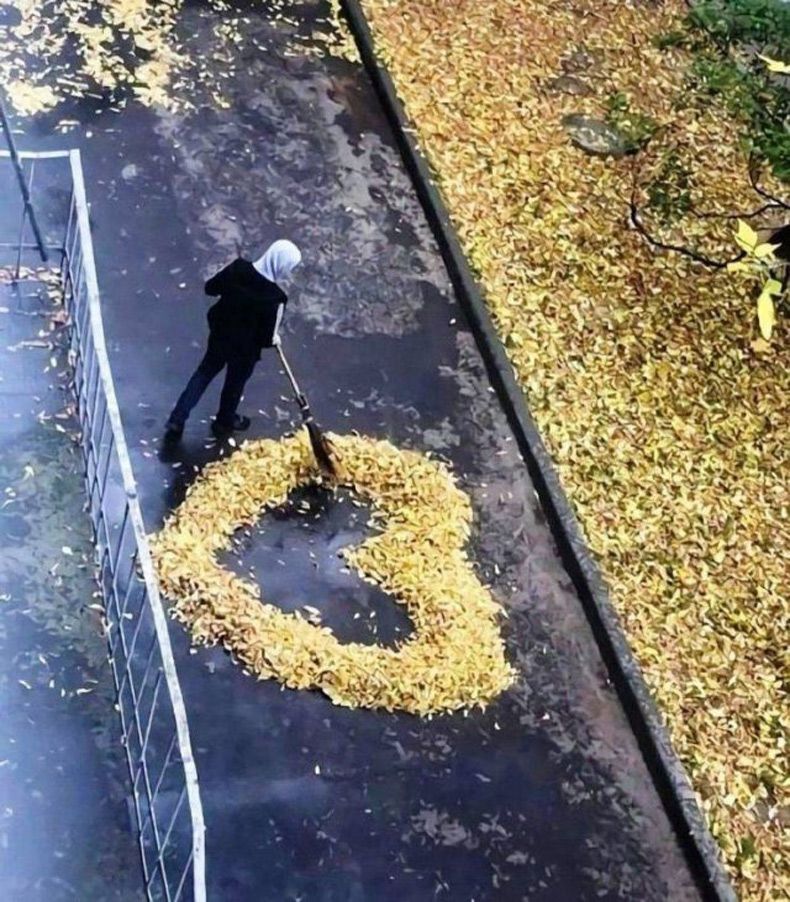 Gewoon een verzameling hilarische foto's #1512