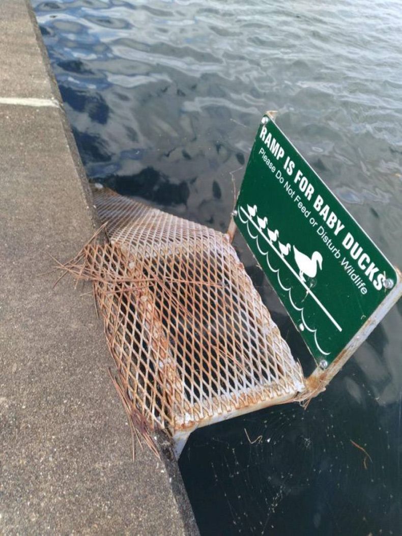 Gewoon een verzameling hilarische foto's #1512