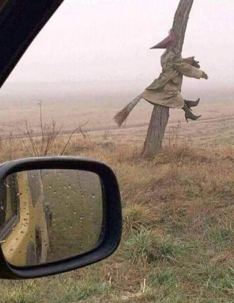 Gewoon een verzameling hilarische foto's #1512