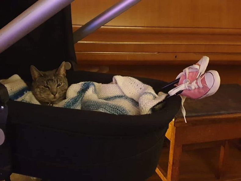 Gewoon een verzameling hilarische foto's #1512