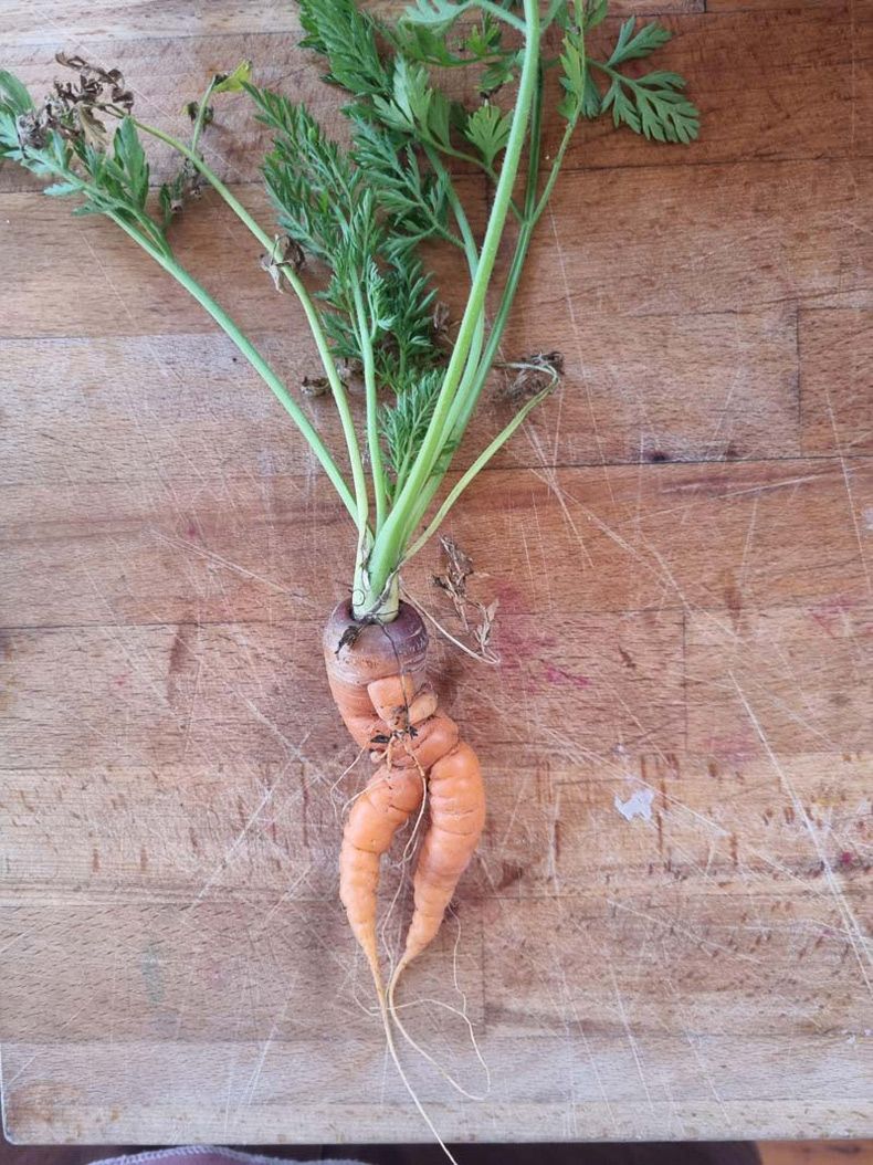 Gewoon een verzameling hilarische foto's #1512