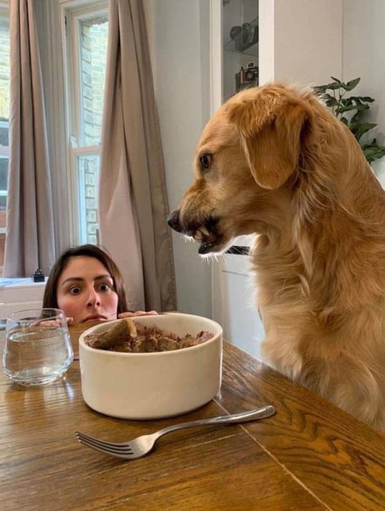 Gewoon een verzameling hilarische foto's #1513