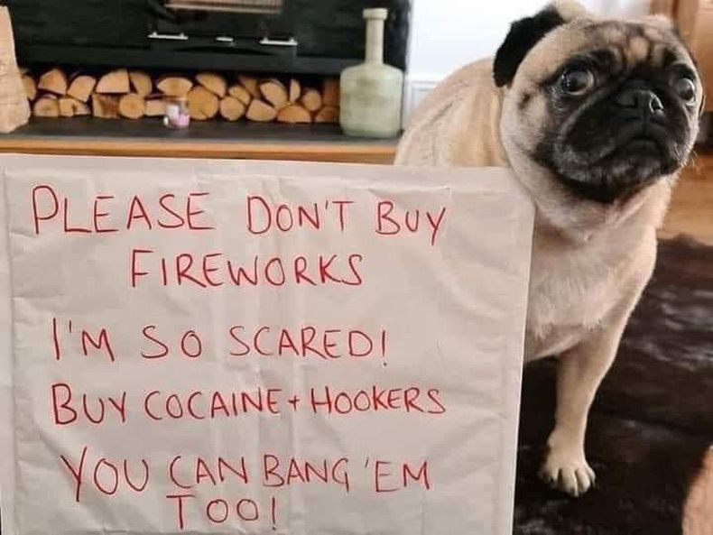 Gewoon een verzameling hilarische foto's #1513