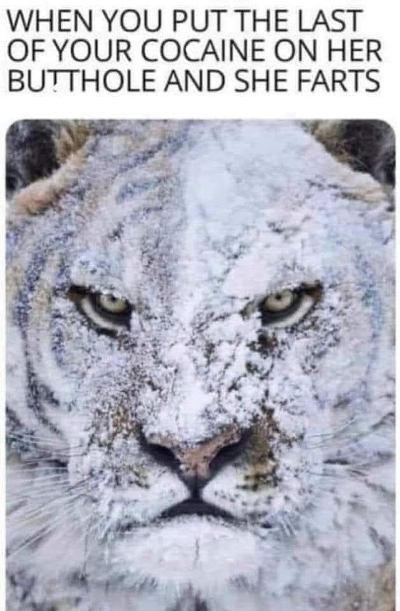 Gewoon een verzameling hilarische foto's #1513