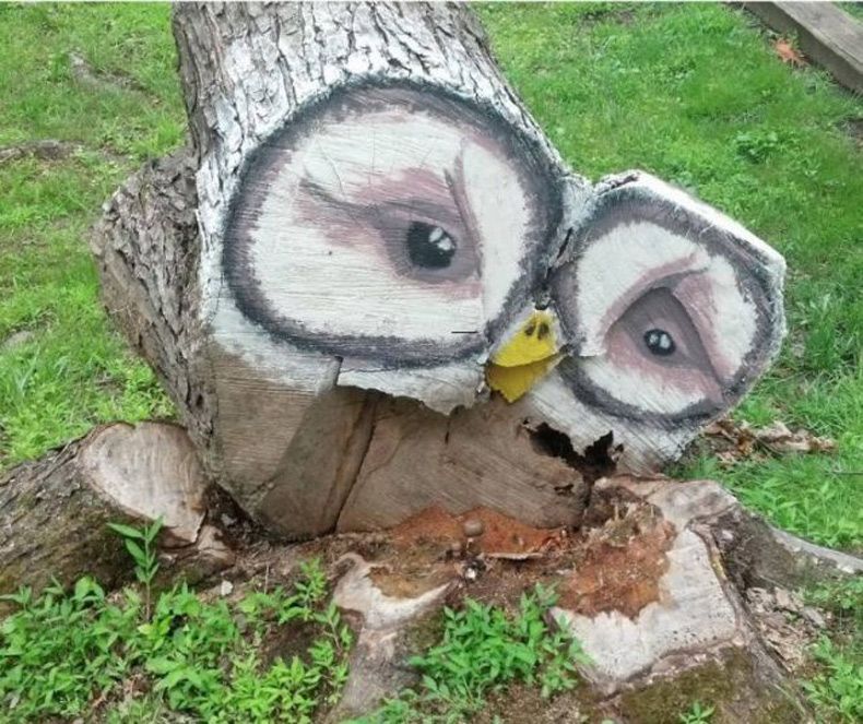 Gewoon een verzameling hilarische foto's #1514