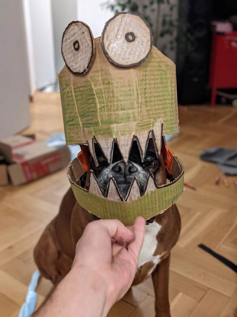 Gewoon een verzameling hilarische foto's #1514