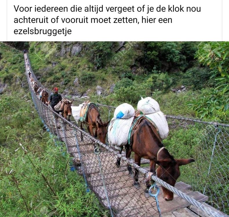 Gewoon een verzameling hilarische foto's #1514