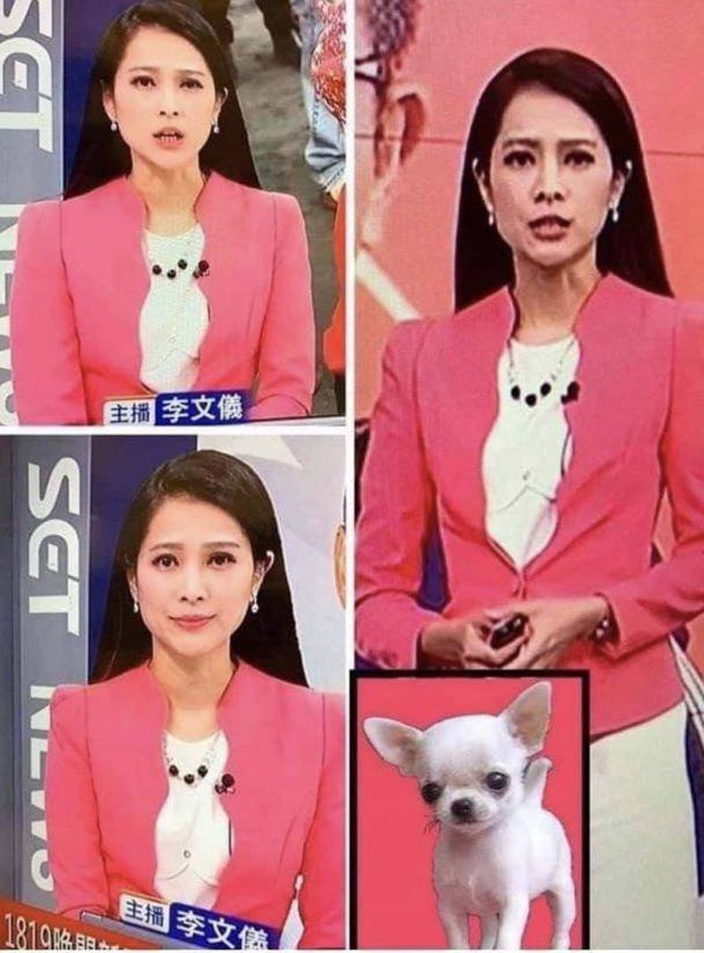 Gewoon een verzameling hilarische foto's #1515