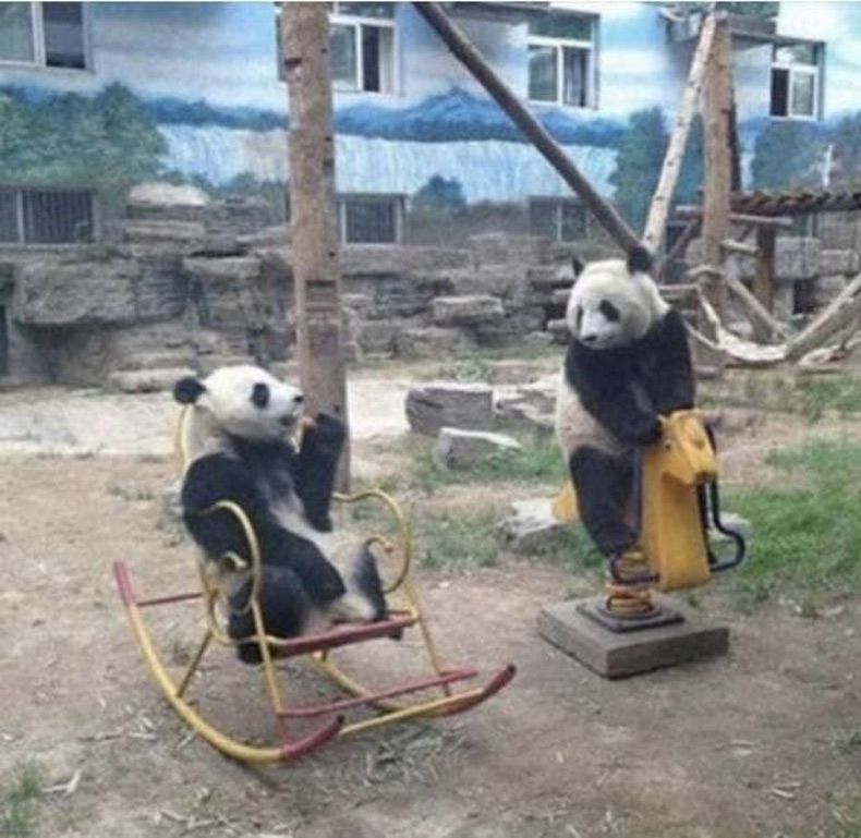 Gewoon een verzameling hilarische foto's #1515