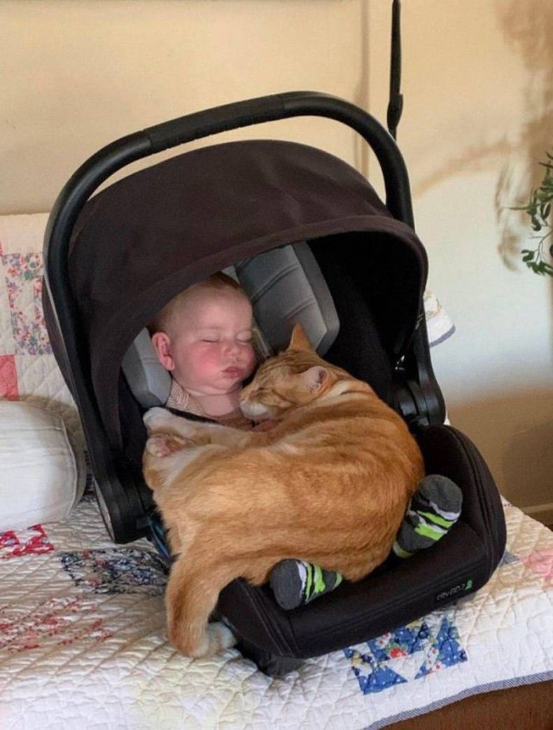 Gewoon een verzameling hilarische foto's #1516