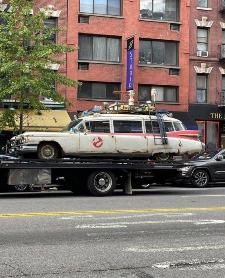 Gewoon een verzameling hilarische foto's #1516