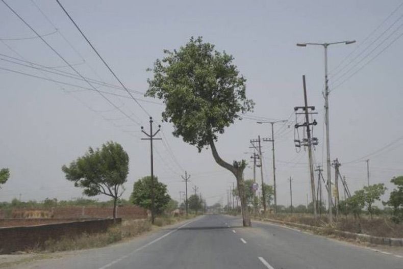 Gewoon een verzameling hilarische foto's #1516