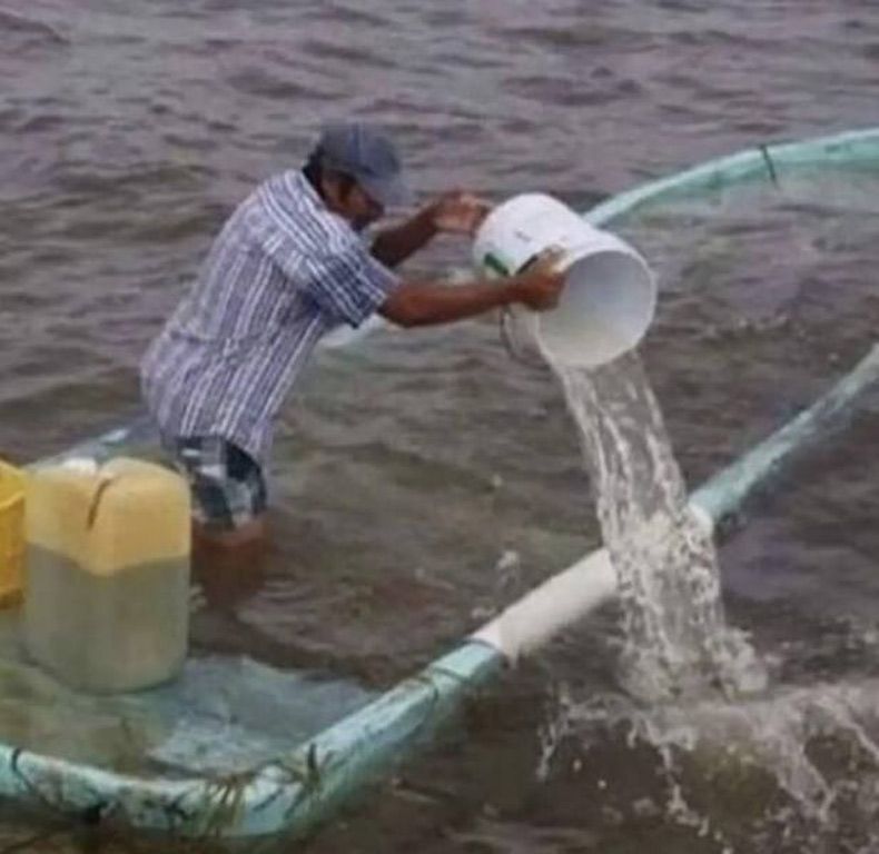 Gewoon een verzameling hilarische foto's #1516