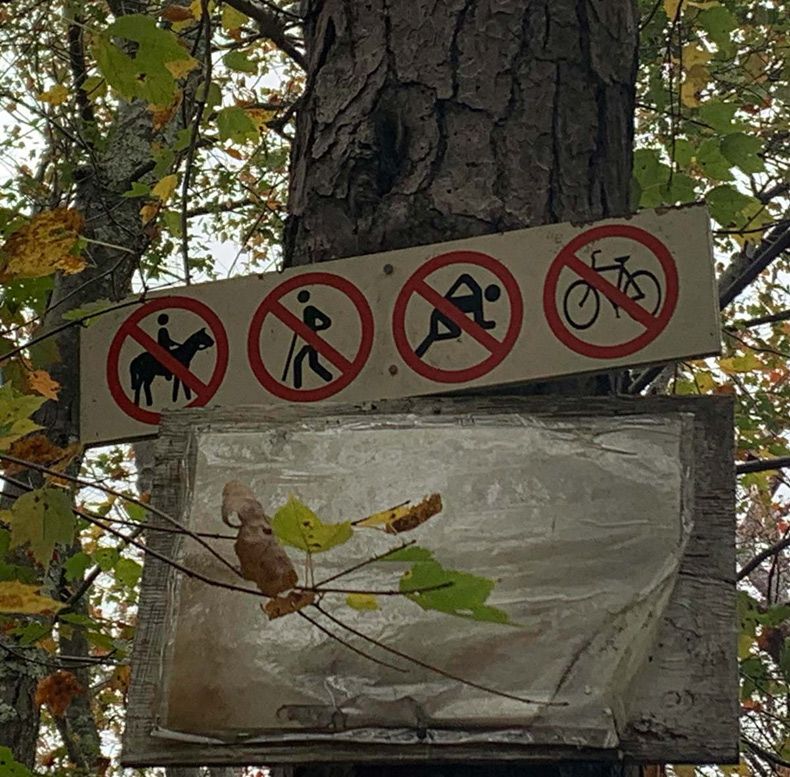 Gewoon een verzameling hilarische foto's #1516