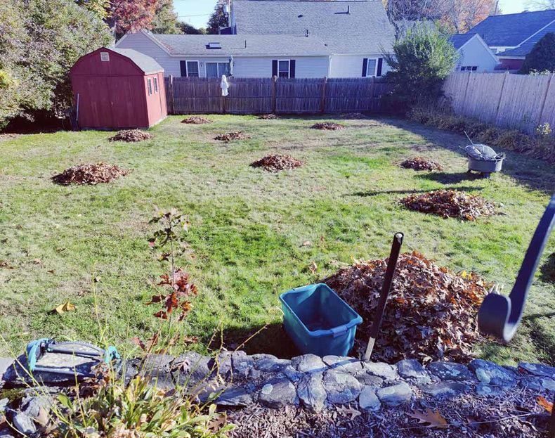 Gewoon een verzameling hilarische foto's #1516