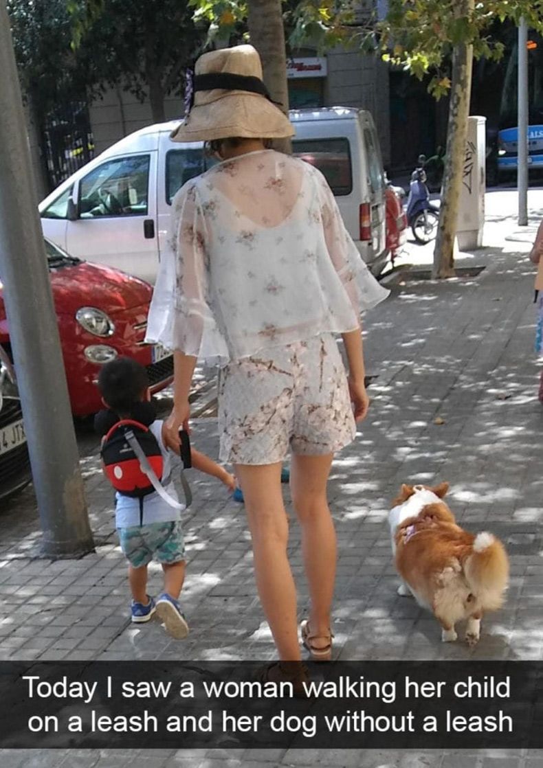 Gewoon een verzameling hilarische foto's #1516